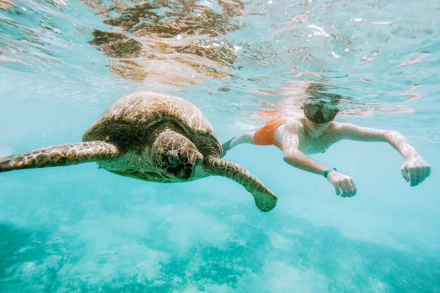 Beach Stay Tours